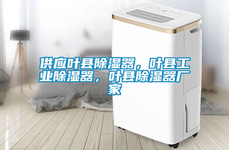 供應(yīng)葉縣除濕器，葉縣工業(yè)除濕器，葉縣除濕器廠家