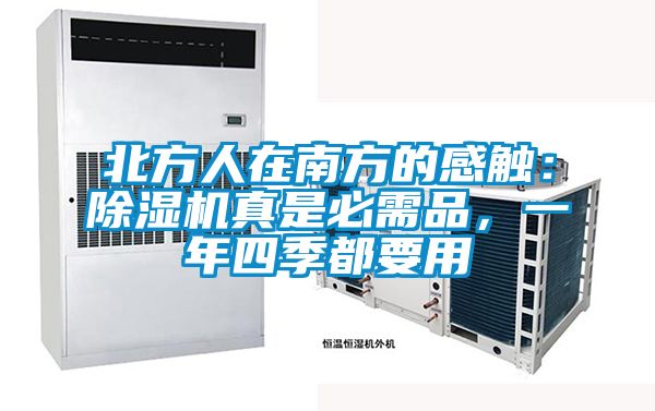 北方人在南方的感觸：除濕機真是必需品，一年四季都要用