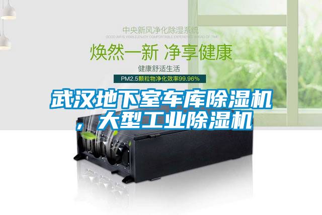 武漢地下室車(chē)庫(kù)除濕機(jī)，大型工業(yè)除濕機(jī)