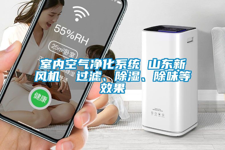 室內(nèi)空氣凈化系統(tǒng) 山東新風(fēng)機(jī)  過濾、除濕、除味等效果