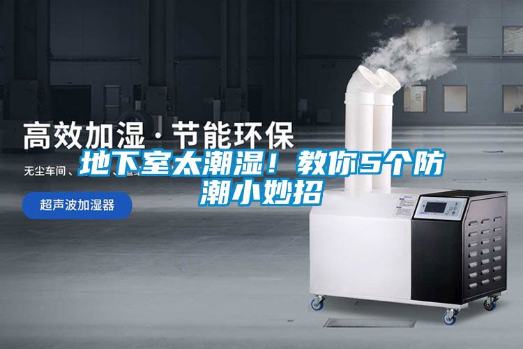 地下室太潮濕！教你5個防潮小妙招