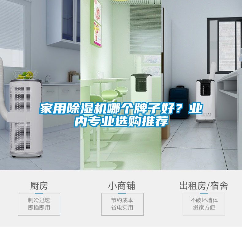 家用除濕機(jī)哪個牌子好？業(yè)內(nèi)專業(yè)選購?fù)扑]