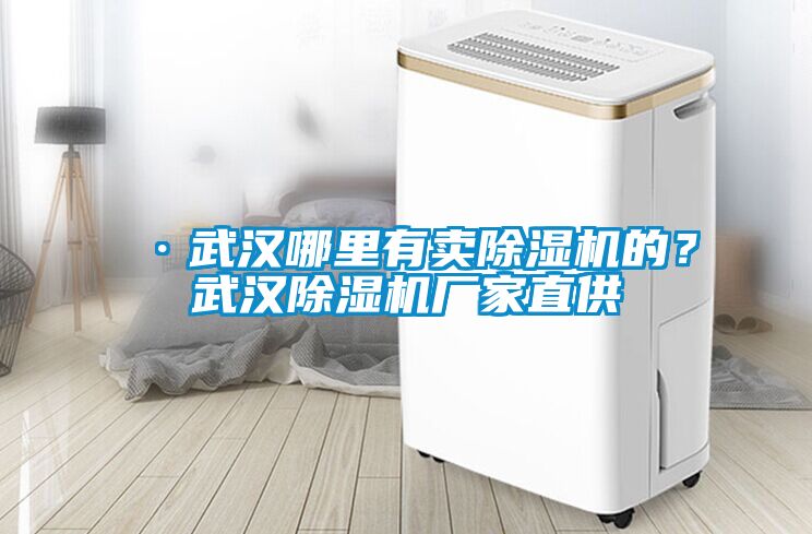 ·武漢哪里有賣除濕機(jī)的？武漢除濕機(jī)廠家直供