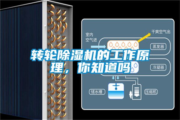 轉(zhuǎn)輪除濕機(jī)的工作原理，你知道嗎