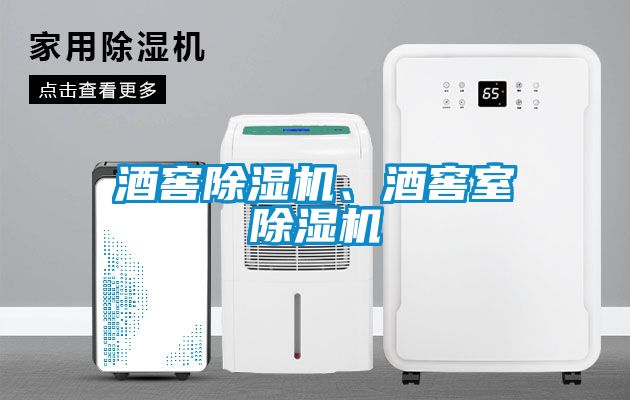 酒窖除濕機(jī)、酒窖室除濕機(jī)
