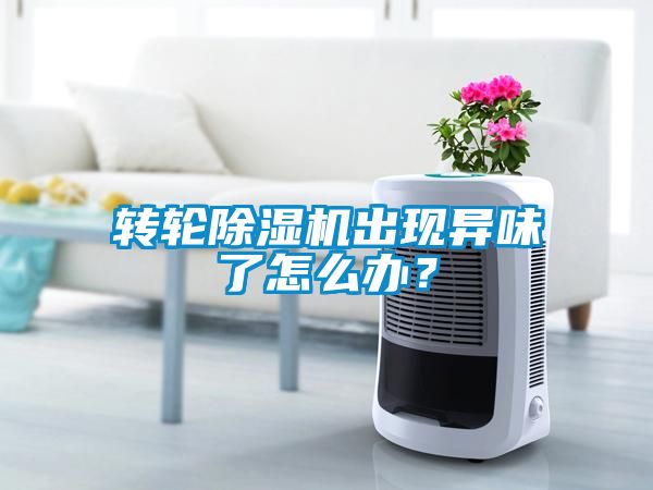 轉(zhuǎn)輪除濕機(jī)出現(xiàn)異味了怎么辦？