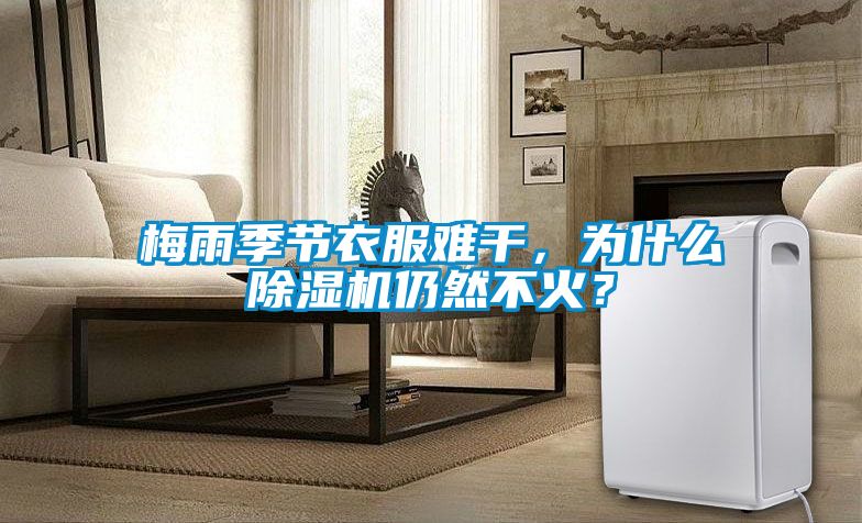 梅雨季節(jié)衣服難干，為什么除濕機仍然不火？
