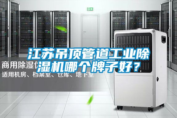 江蘇吊頂管道工業(yè)除濕機哪個牌子好？