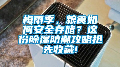 梅雨季，糧食如何安全存儲(chǔ)？這份除濕防潮攻略搶先收藏!