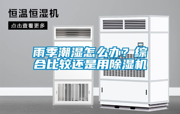 雨季潮濕怎么辦？綜合比較還是用除濕機(jī)