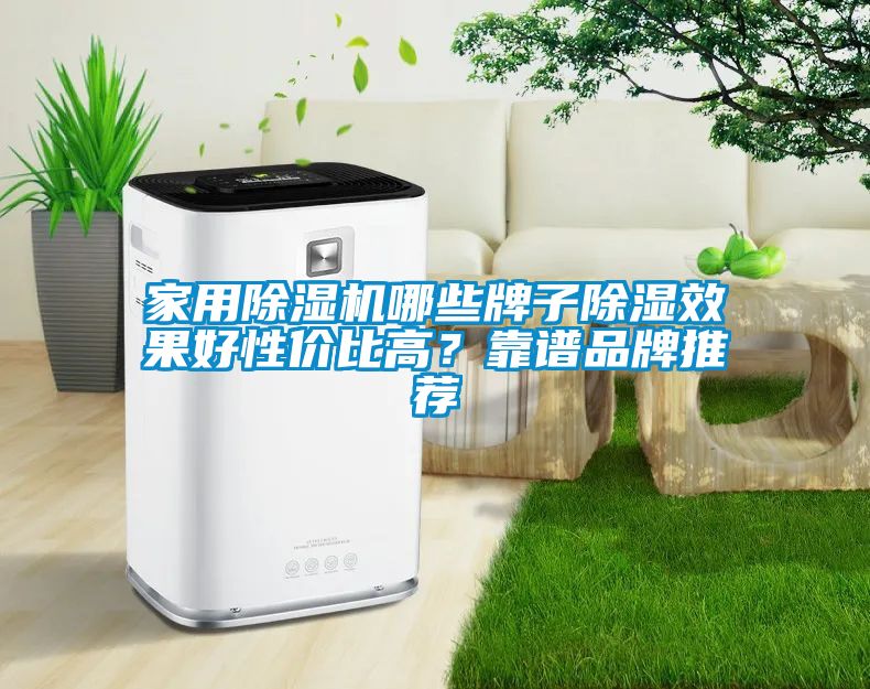 家用除濕機(jī)哪些牌子除濕效果好性價(jià)比高？靠譜品牌推薦