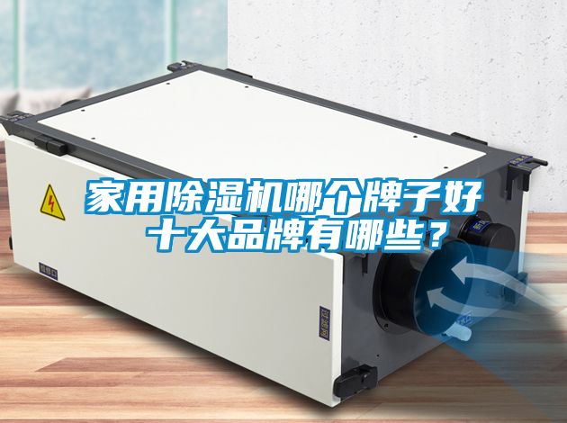 家用除濕機哪個牌子好 十大品牌有哪些？