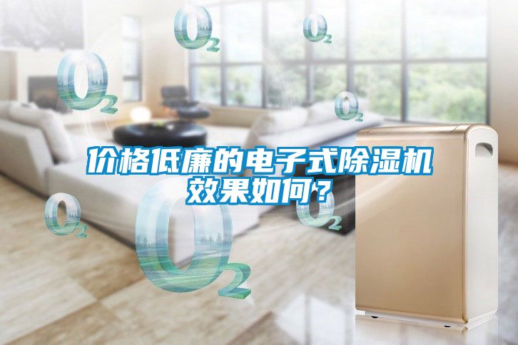 價(jià)格低廉的電子式除濕機(jī)效果如何？