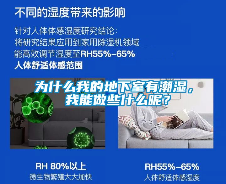 為什么我的地下室有潮濕， 我能做些什么呢？