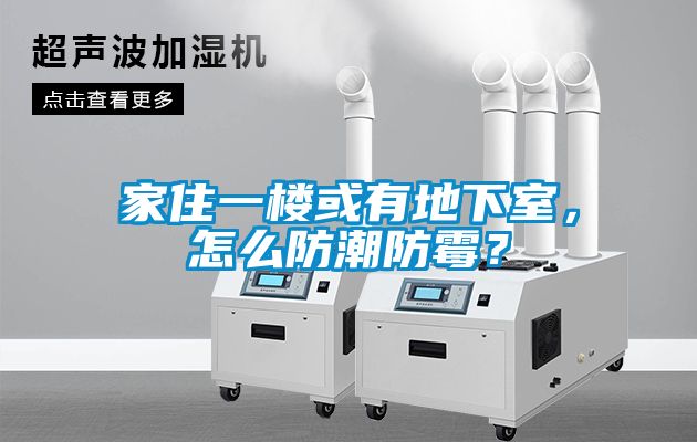 家住一樓或有地下室，怎么防潮防霉？