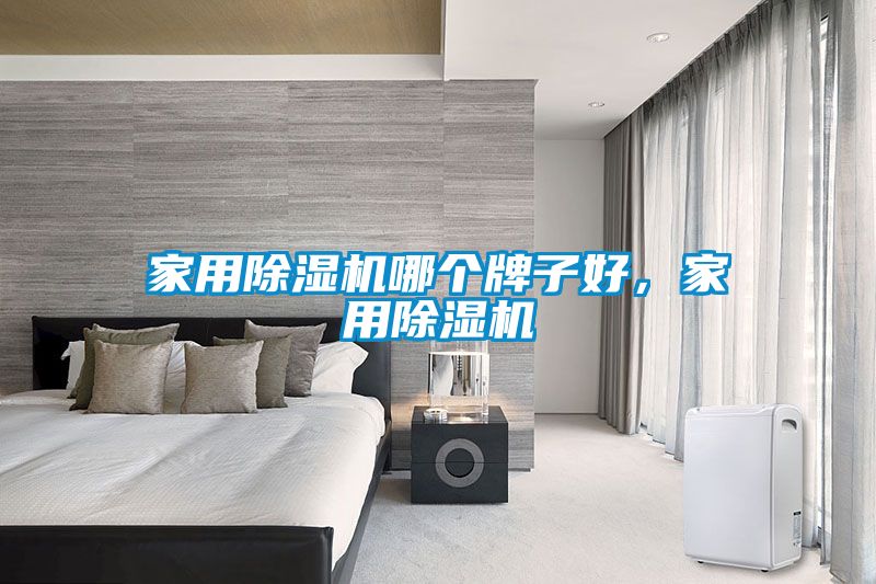 家用除濕機(jī)哪個(gè)牌子好，家用除濕機(jī)