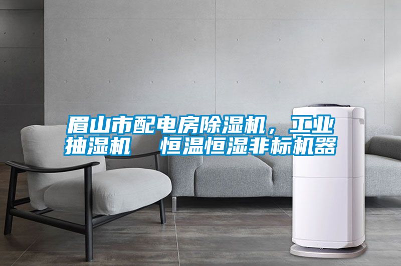 眉山市配電房除濕機(jī)，工業(yè)抽濕機(jī)  恒溫恒濕非標(biāo)機(jī)器