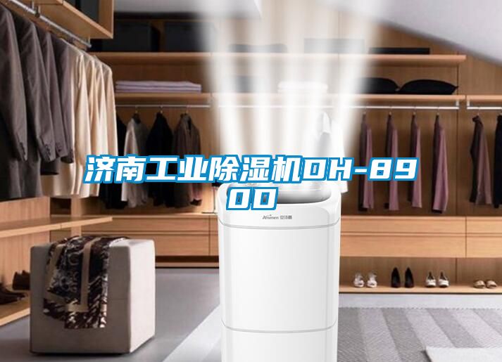 濟(jì)南工業(yè)除濕機DH-890D