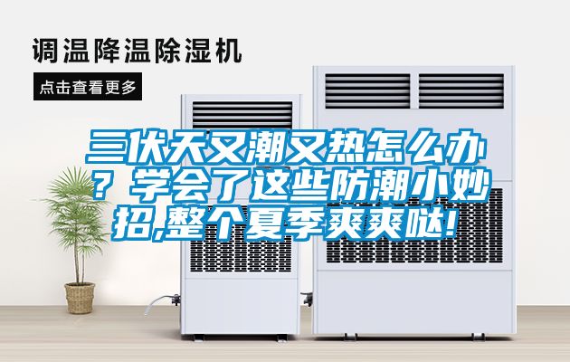 三伏天又潮又熱怎么辦？學(xué)會(huì)了這些防潮小妙招,整個(gè)夏季爽爽噠!