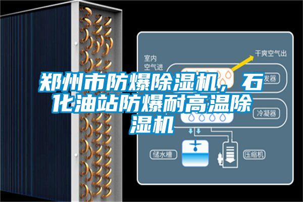 鄭州市防爆除濕機(jī)，石化油站防爆耐高溫除濕機(jī)