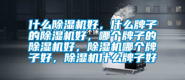 什么除濕機好，什么牌子的除濕機好，哪個牌子的除濕機好，除濕機哪個牌子好，除濕機什么牌子好