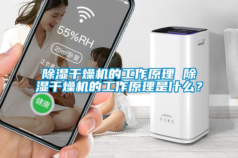 除濕干燥機(jī)的工作原理 除濕干燥機(jī)的工作原理是什么？