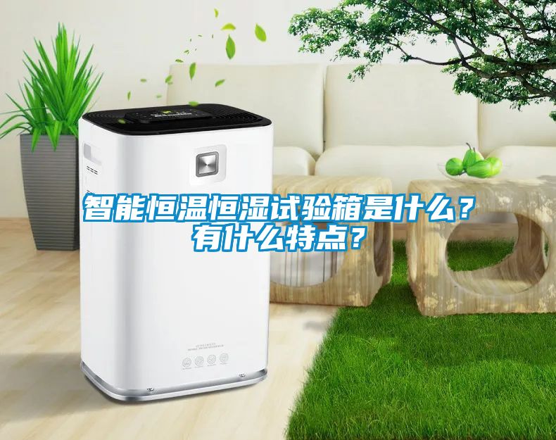 智能恒溫恒濕試驗(yàn)箱是什么？有什么特點(diǎn)？