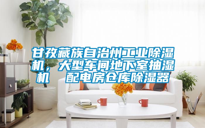 甘孜藏族自治州工業(yè)除濕機(jī)，大型車(chē)間地下室抽濕機(jī)  配電房倉(cāng)庫(kù)除濕器