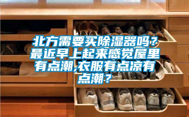 北方需要買除濕器嗎？最近早上起來感覺屋里有點潮,衣服有點涼有點潮？