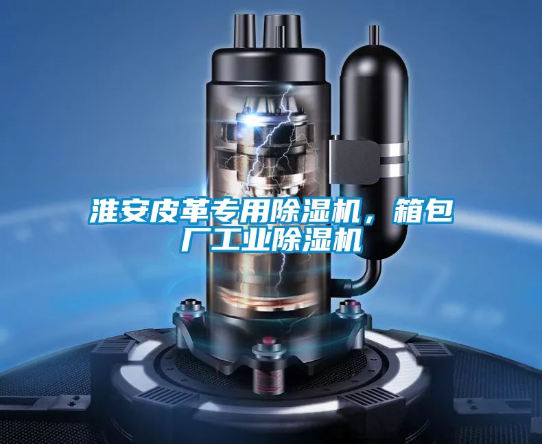淮安皮革專用除濕機(jī)，箱包廠工業(yè)除濕機(jī)