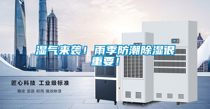 濕氣來襲！雨季防潮除濕很重要！
