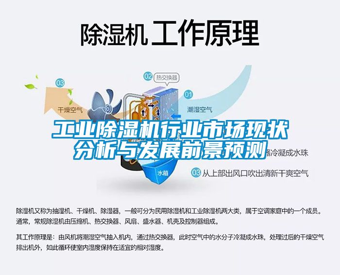 工業(yè)除濕機行業(yè)市場現(xiàn)狀分析與發(fā)展前景預測