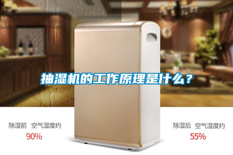 抽濕機的工作原理是什么？