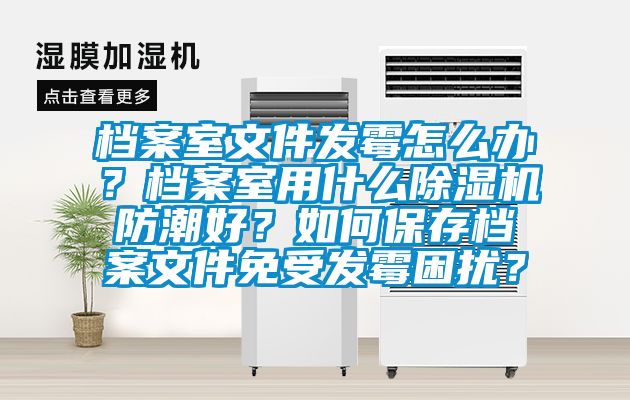 檔案室文件發(fā)霉怎么辦？檔案室用什么除濕機(jī)防潮好？如何保存檔案文件免受發(fā)霉困擾？