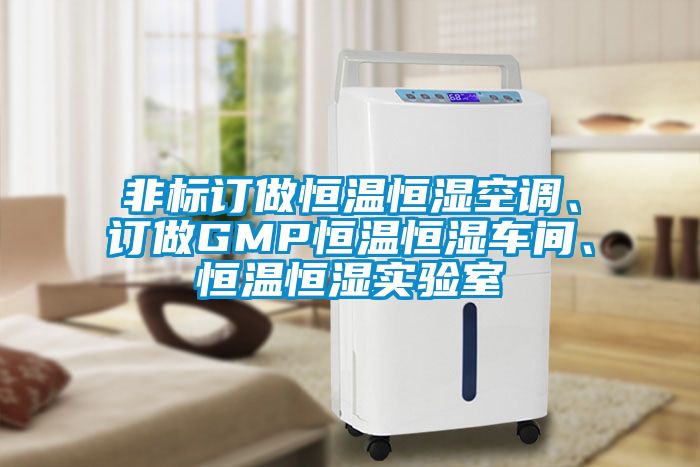 非標訂做恒溫恒濕空調(diào)、訂做GMP恒溫恒濕車間、恒溫恒濕實驗室