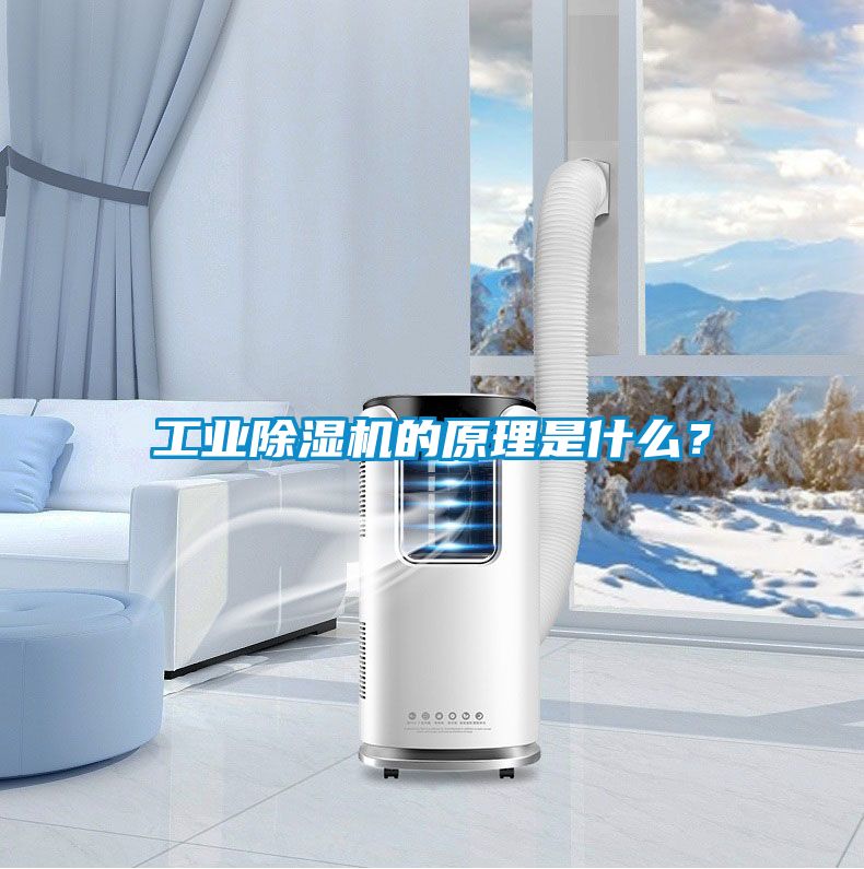 工業(yè)除濕機(jī)的原理是什么？