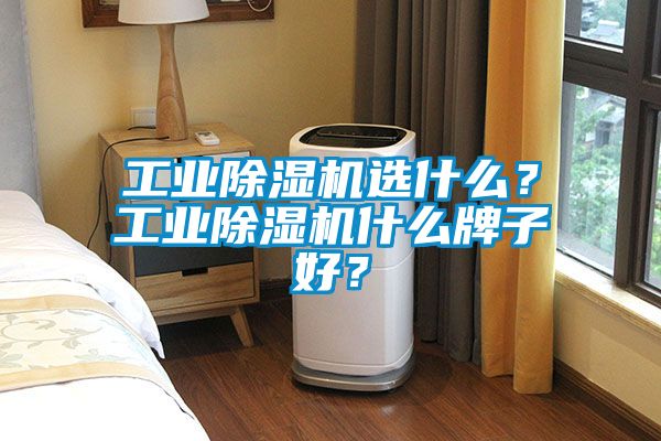 工業(yè)除濕機(jī)選什么？工業(yè)除濕機(jī)什么牌子好？