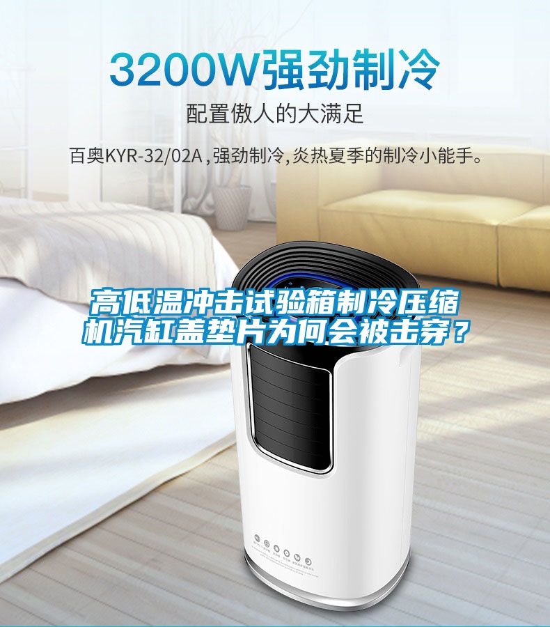 高低溫沖擊試驗(yàn)箱制冷壓縮機(jī)汽缸蓋墊片為何會(huì)被擊穿？