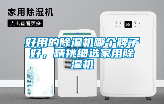 好用的除濕機哪個牌子好，精挑細(xì)選家用除濕機
