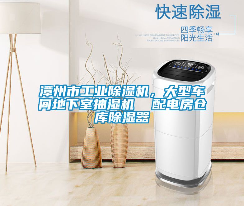 漳州市工業(yè)除濕機，大型車間地下室抽濕機  配電房倉庫除濕器