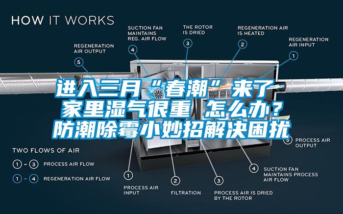 進(jìn)入三月“春潮”來了 家里濕氣很重 怎么辦？防潮除霉小妙招解決困擾