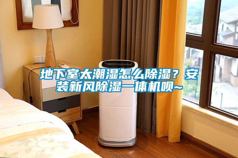 地下室太潮濕怎么除濕？安裝新風(fēng)除濕一體機唄~
