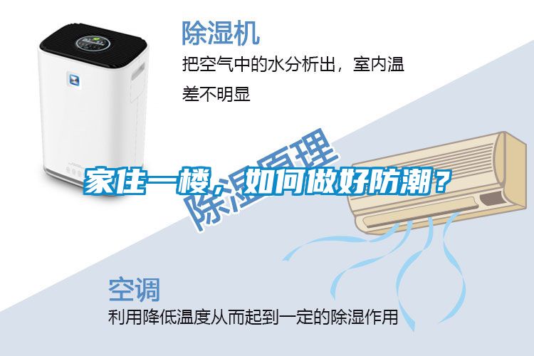 家住一樓，如何做好防潮？