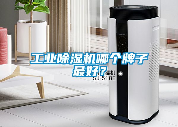 工業(yè)除濕機哪個牌子最好？