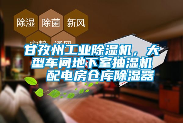 甘孜州工業(yè)除濕機(jī)，大型車間地下室抽濕機(jī)  配電房倉庫除濕器